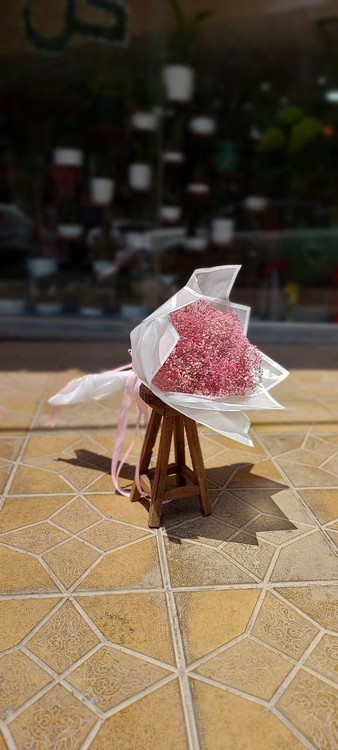 دسته کل ژیپسفولیا