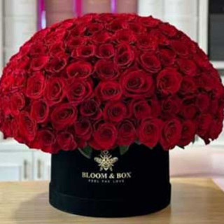 باکس گل 100 شاخه ای رز ولنتاینی قزوین